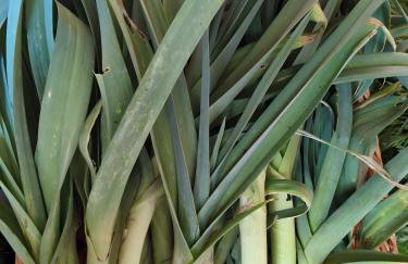 Ferme Pédagogique Bordeneuve - Foto 26