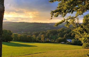 gemütliche Ferienwohnung Schwarzmühle - Foto 25