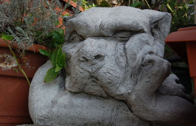 Tuinappartement - Castel D'incze - Foto 14