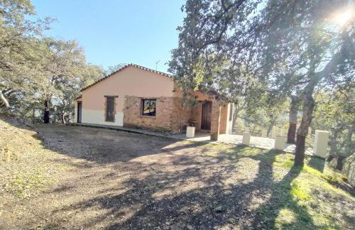 Pozuelo 2 JABUGO - Foto 15