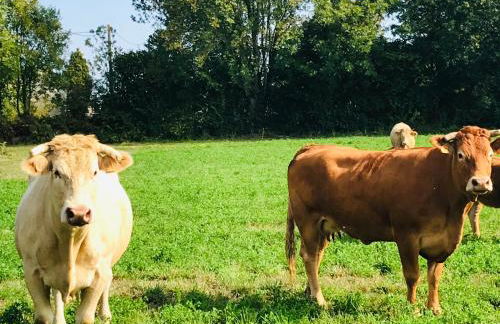 La Blatière French Cottages - Foto 14