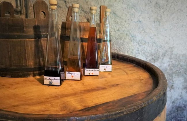 Vineyard Cottage Zajc - Photo 13