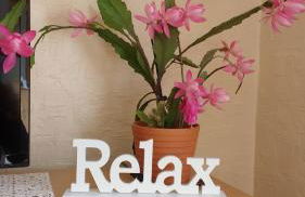 Antjes Ferienwohnung Flonheim - Foto 23