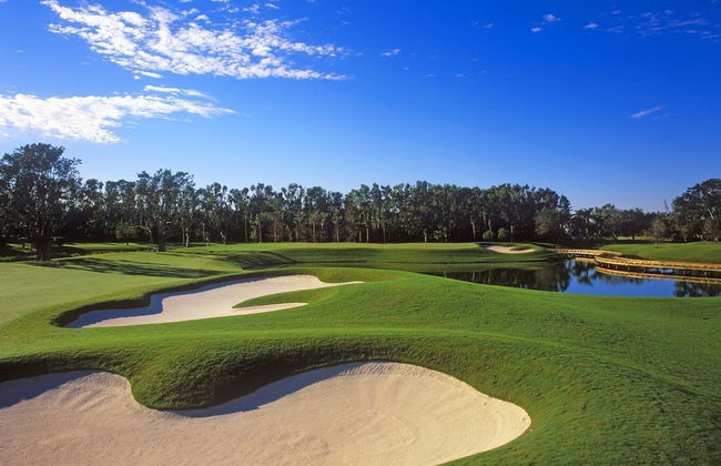 Avis House - Foto 20