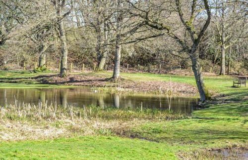 Lucky Duck Cottage - Foto 23