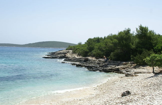 Traditional House With two Apartments - Foto 53