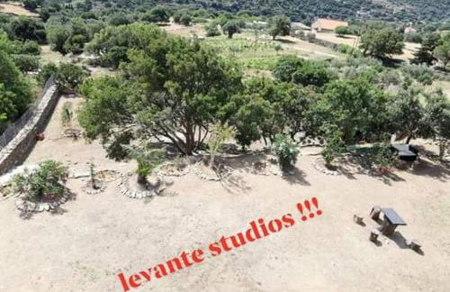 levante studios Αndros - Foto 11