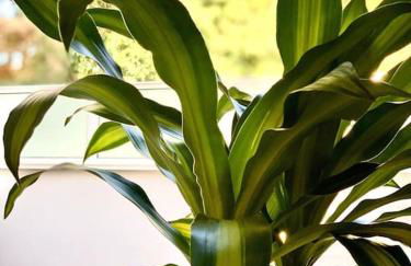 Loft Menorca & Spa 5 étoiles au cœur de Nancy - Foto 9