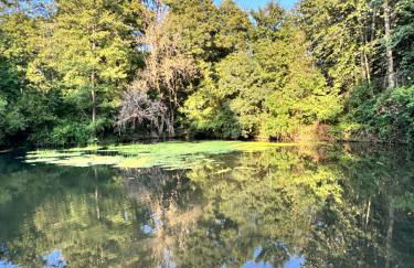 Reflets de Sologne - Foto 66