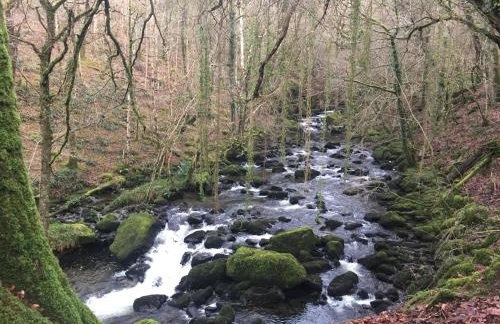 Stunning views of Ynyshir & Southern Snowdonia - Foto 33