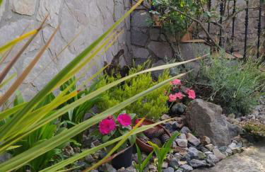 LA GRANDA DE LA CONCHA - Foto 12