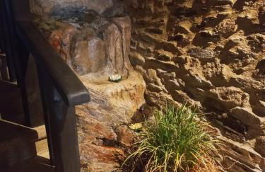 Casa Rural La Moraquintana - Foto 76