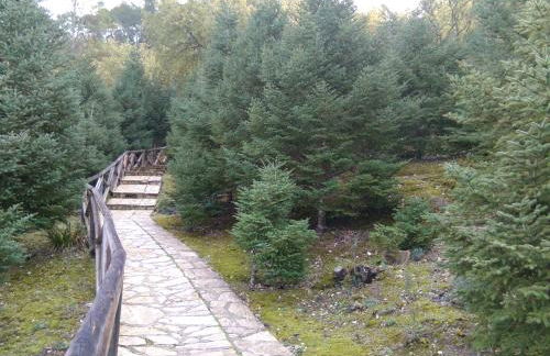 Hotel Casa Paco - Foto 11