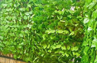 Vivienda rural “Los Nacimientos” - Photo 14