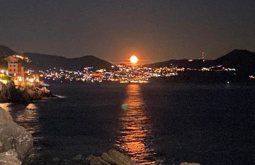 La via al mare - Portofino in battello da Nervi - Foto 13