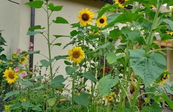 Ostoja Kamionki - Foto 28