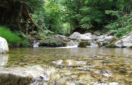 ''Mary's House'' Entire residence Olympiada Halkidiki Near to Sea 200m ! - Foto 67