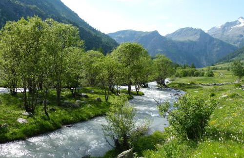 Orcières Appartement au pied des pistes avec piscine - Foto 24