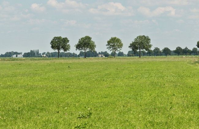 Chalet in Hulshorst Near Lake - Foto 31