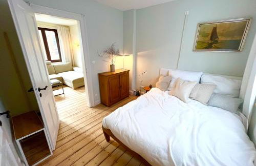 Historisches Apartment Minimalus - Foto 8