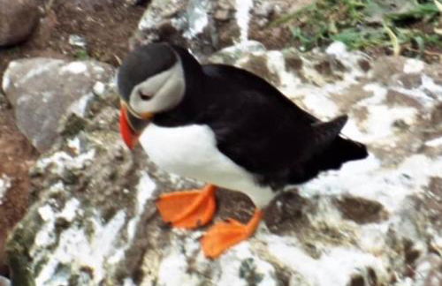 Driftwood - Photo 29