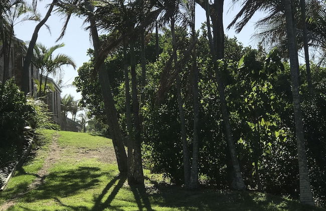 Glen Eden Beach Resort - Foto 63