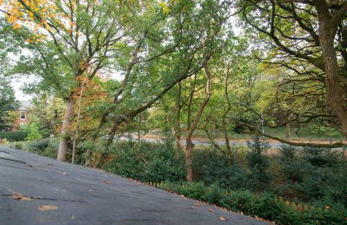 Luxury Coach house next to woodland in Knutsford - Photo 46