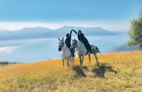 Casa Cicala - Foto 16