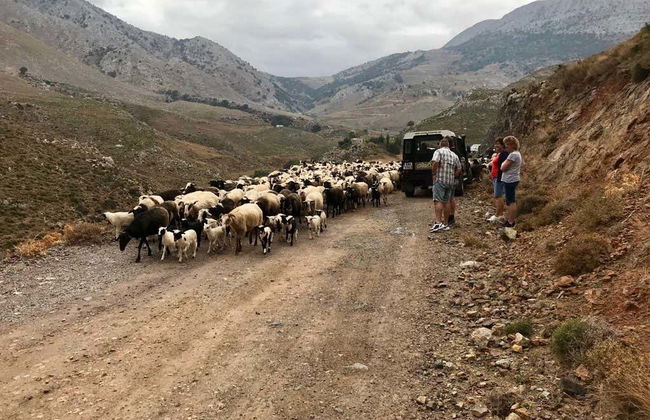 Asterousia Mountain & Villages Jeep Safari - Foto 8