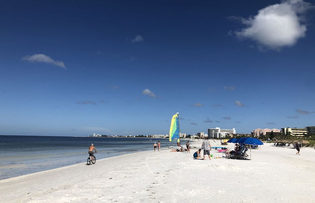 Siesta Palms By the Beach - Photo 70