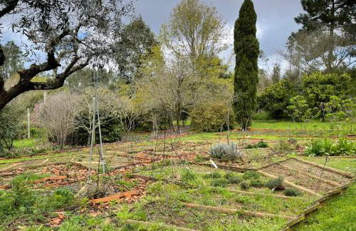 Charming Garden Retreat in Pedrogao Grande - Foto 21