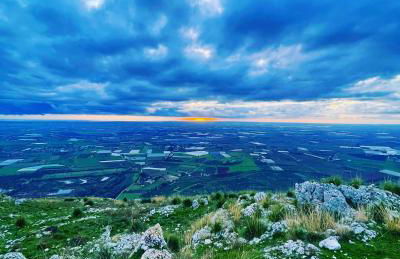 Sweet Home Sofia - Photo 32