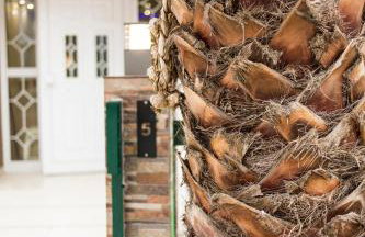 Zonita Guest House - Foto 40