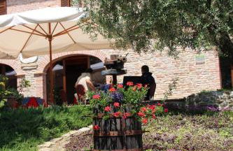 Agriturismo Biologico Villa Rosa - Photo 9