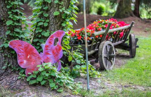 Zezuj Agroturystyka i Łowisko - Photo 35