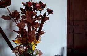 Three Hearts - Foto 39