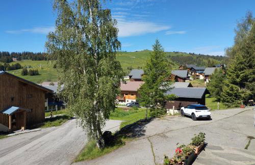 Les Saisies côté Bisanne appartement dans chalet LE Népal - Foto 17