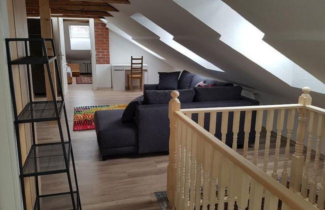 Dresdner-Tag Hermann - Foto 8