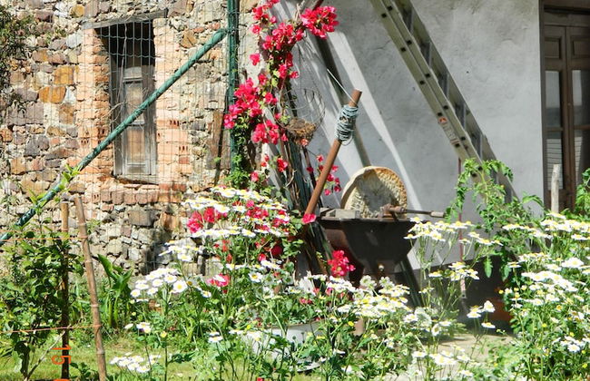 La Llosa Rodré - Foto 23