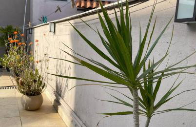 Ap Ouro Pret - com piscina aquecimento solar e churrasqueira - Foto 25