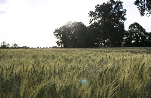 Agriturismo Cascina Farisengo - Foto 72