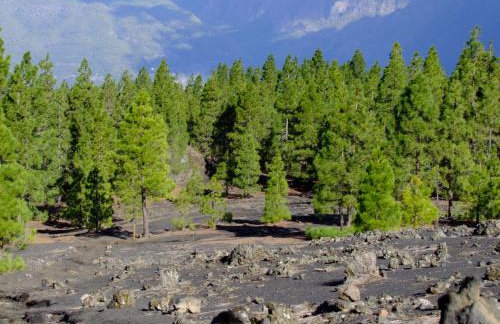 Villas Las Cercas - Photo 72