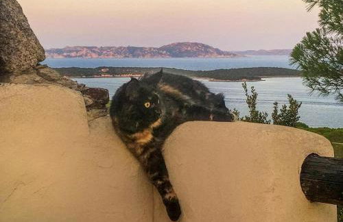 House with amazing view - Photo 10