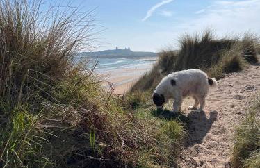 St Hilda Beach Hut Alnmouth - Foto 11