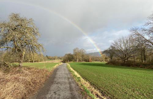 Lieblingsplatz Koblenz - Foto 59