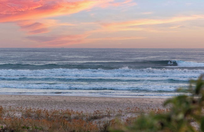 Little Palms by Burleigh Letting Co - Photo 44