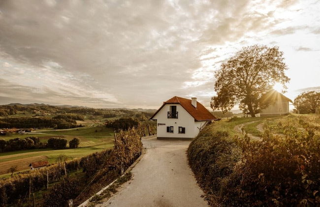 Vineyard cottage Zdolšek - Foto 22