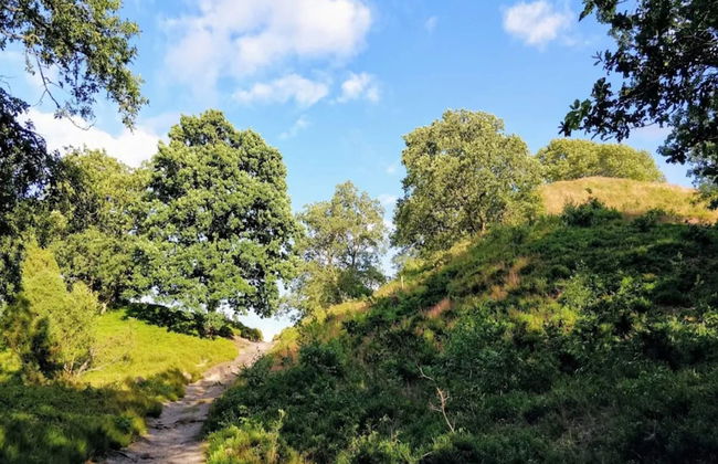 6 Person Holiday Home in Silkeborg - Foto 18