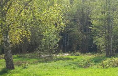 Ferienhaus du Bourguignon, Lorraine - Foto 23