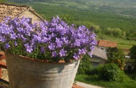 Apartment Staleta Tartuf - Foto 14